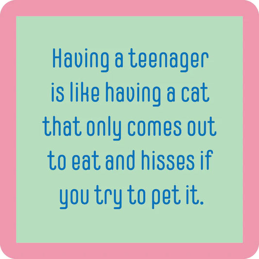 Coaster Teenager/Cat