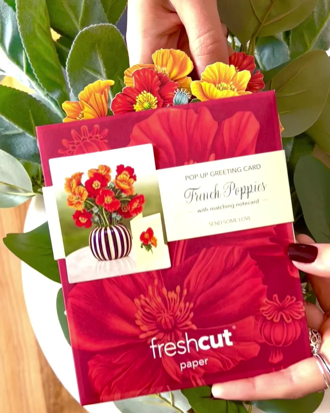 Mini French Poppies