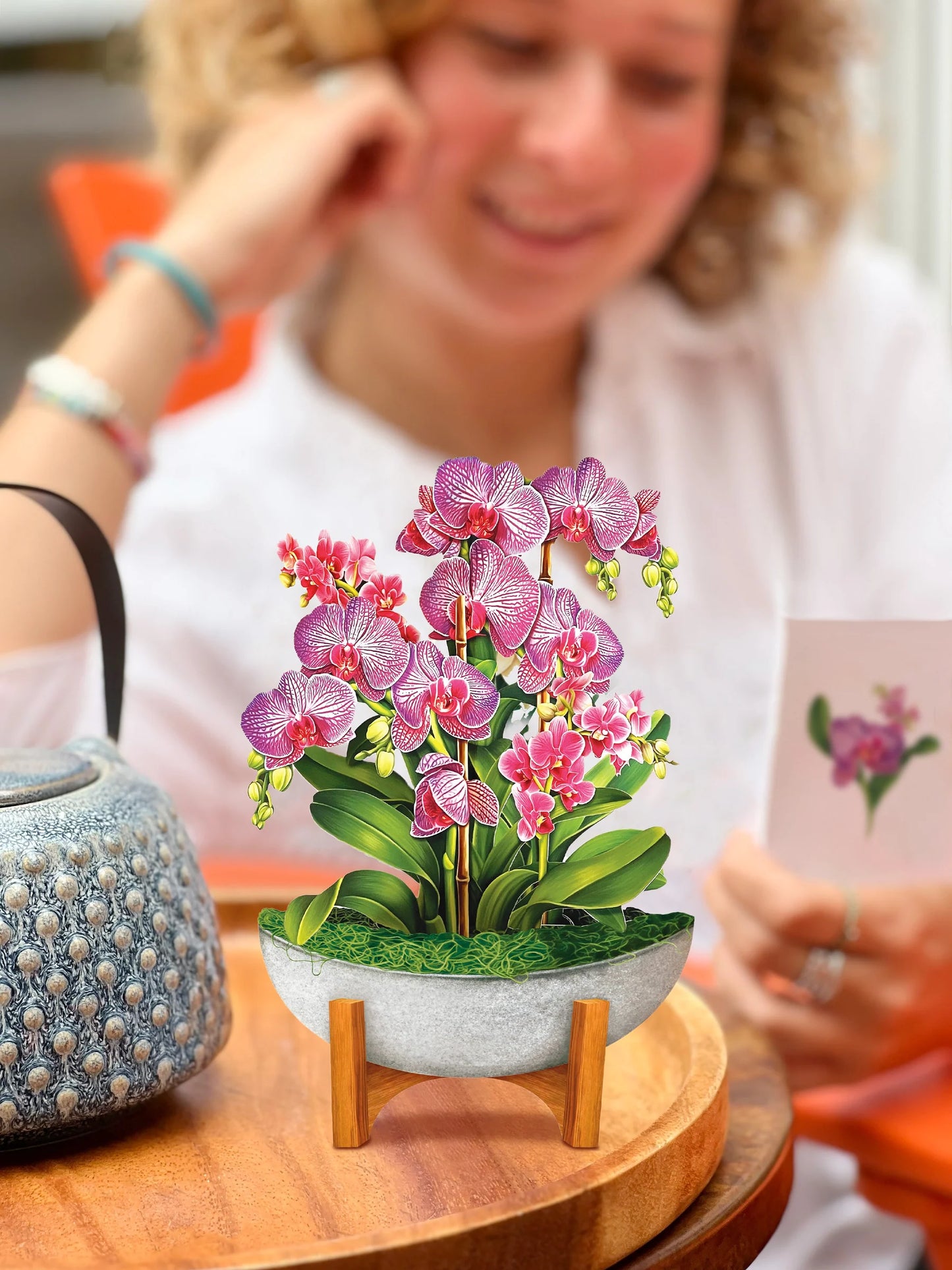 Mini Orchid Oasis