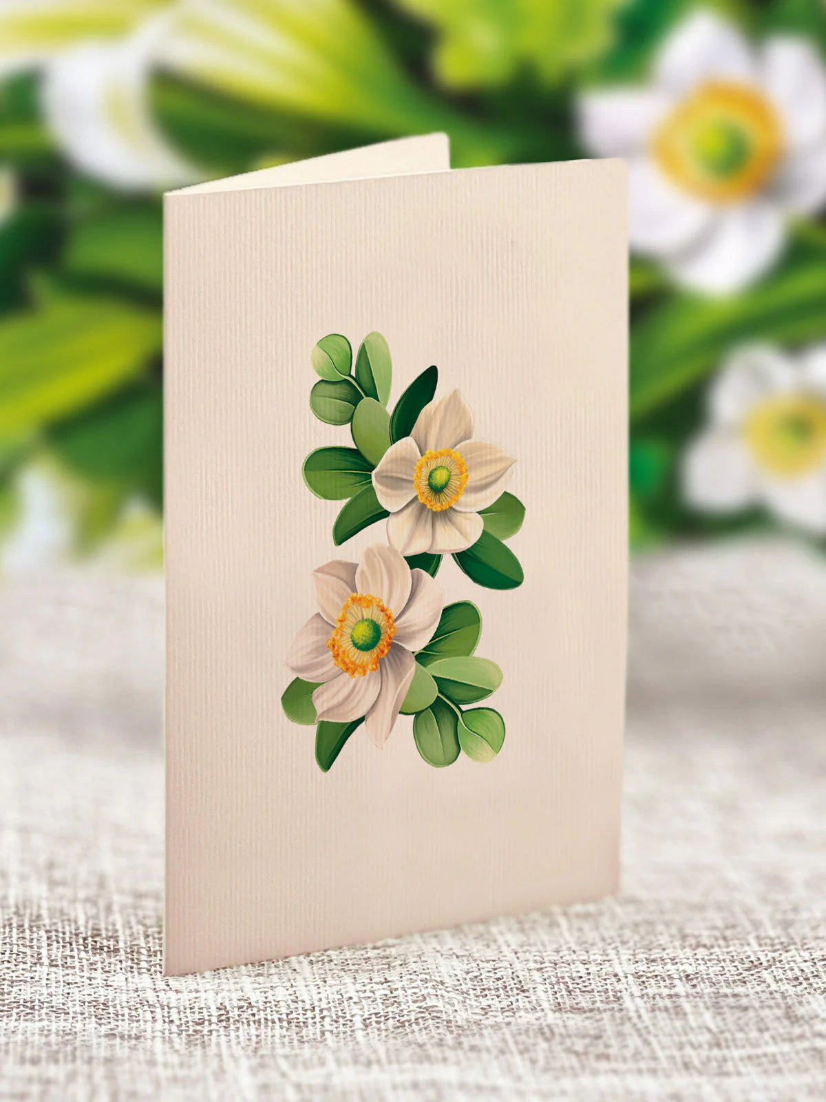Mini Ivory & Sage