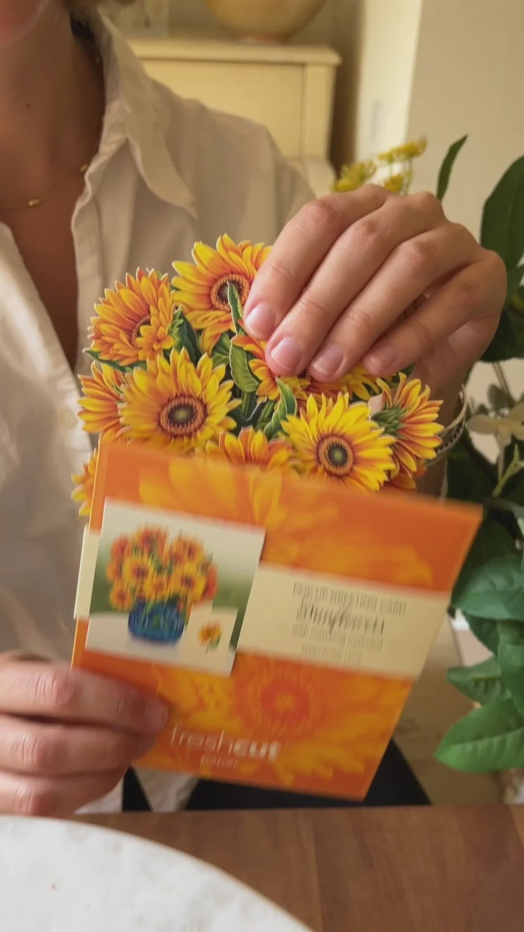 Mini Sunflowers