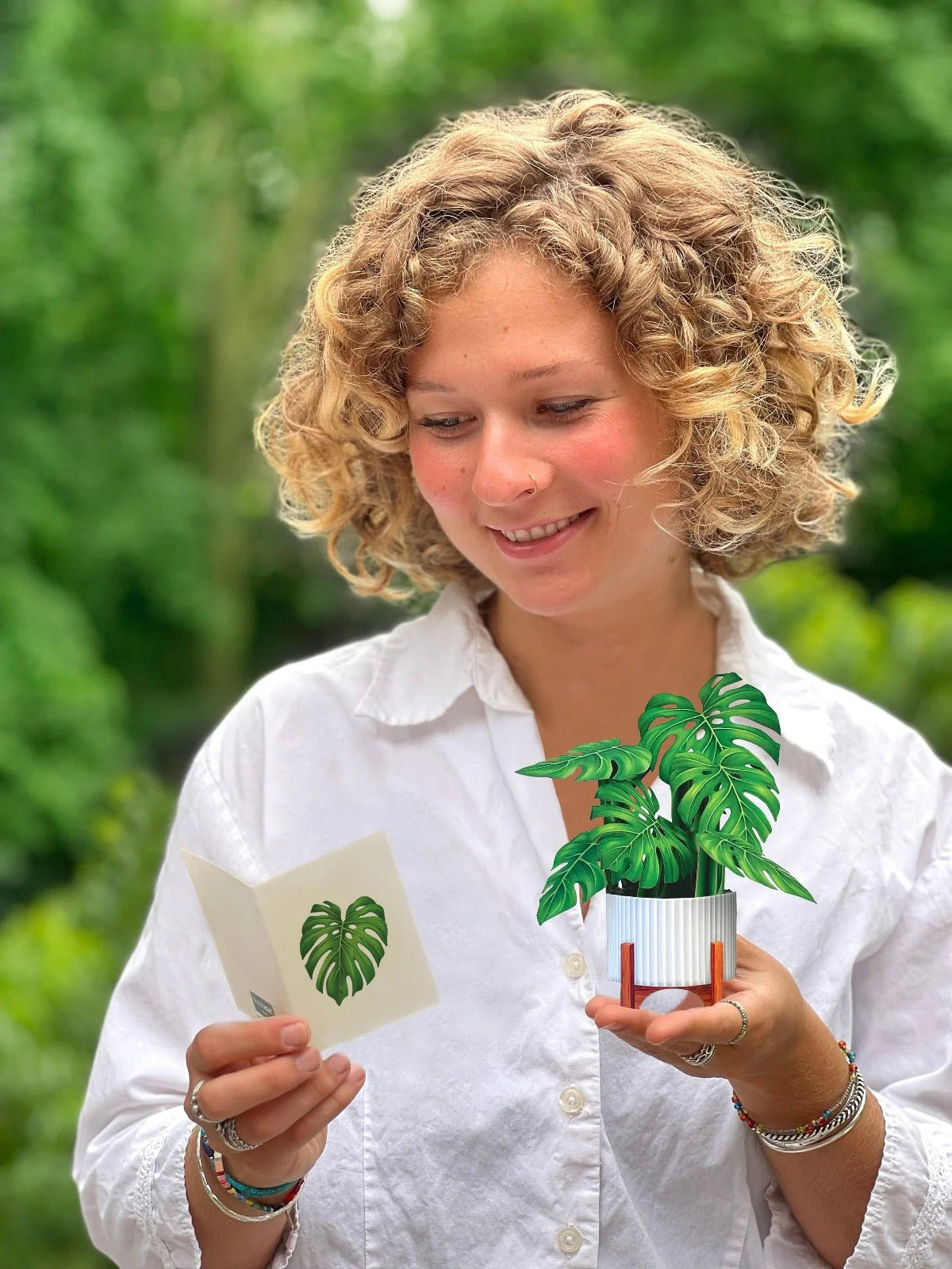 Mini Monstera