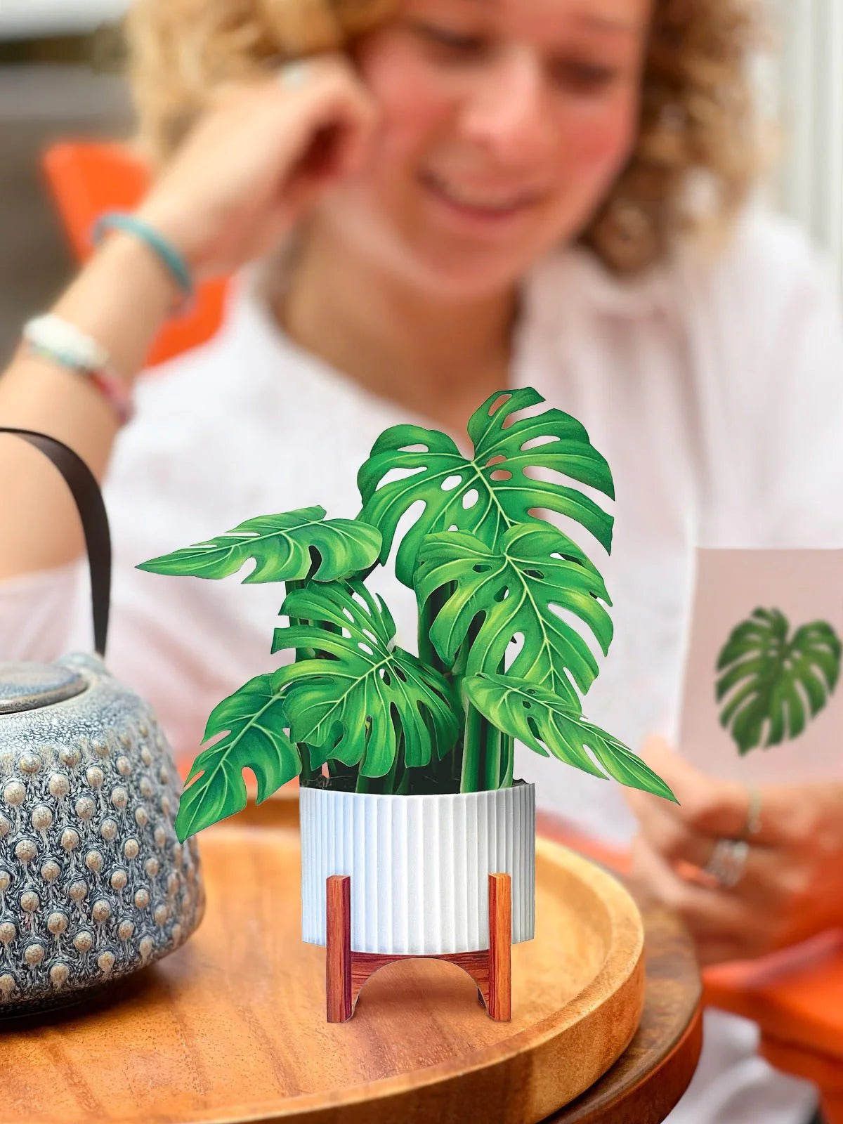 Mini Monstera