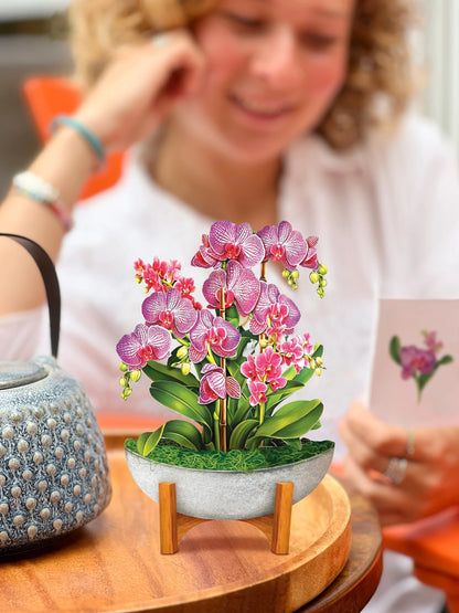 Mini Orchid Oasis